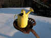 vintage yellow watering can from our Antiques catalogue - Phoenixant.com