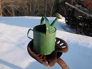 vintage watering can from our Antiques catalogue - Phoenixant.com